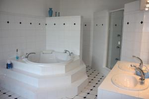 Château de la Chassagne photo 21