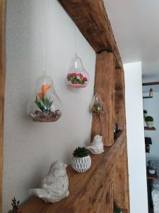 Appartements La Grande Terrine - Gites Les Potiers : photos des chambres