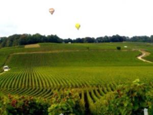 Appartements Gite Le Cocon Ay-Champagne : photos des chambres