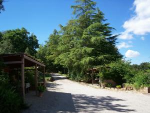 Podere Il Caggio Rooms