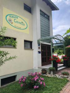 Pension Haus Camelia Bad Tatzmannsdorf Österreich