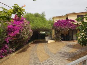 Villa Dettori img16