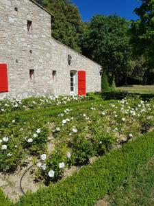 B&B / Chambres d'hotes Les Nefliers chambre d'hotes : photos des chambres