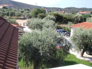 Armonia Apartment Thassos Greece