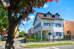 Vila Roza - Cîmpu Negru Vila Roza - Cîmpu Negru