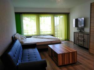 Апартамент Panorama Studio Silence Грехен Швейцария