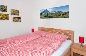 Alpin Chalet Schröcken