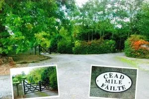 Kingstown House - Cahir