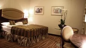 Casino&Hotel Admiral Alžbětín - 卡什佩尔斯凯霍里