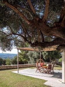 The Cerulean Villa. The Concord of Blue and Green! Kefalloniá Greece