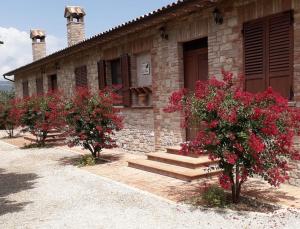 Holiday Home room in Agriturismo Il Falco