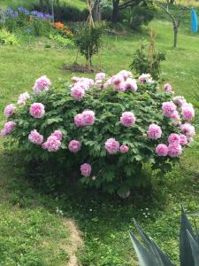 Apartment Belveder Lidija