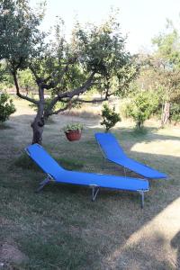 Apartment Belveder Lidija