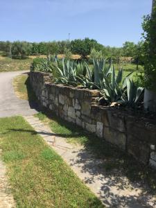 Apartment Belveder Lidija