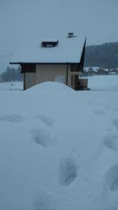 Chalet Butterfly