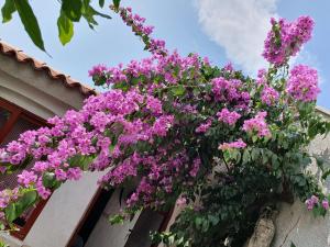 Apartments Kero NEW value 2023 fully AC