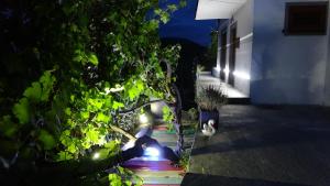 Apartment Kraljica Jelena