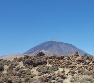 Acogedor apartamento en San Miguel de Abona