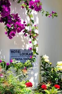 Hotel Loukas Vrachos Epirus Greece