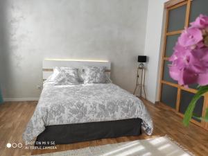 Appartements LE CANGE : photos des chambres