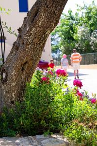 Hotel Loukas Vrachos Epirus Greece