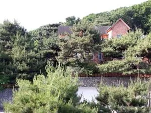 The Hyu Largo - Wŏnch'ŏn