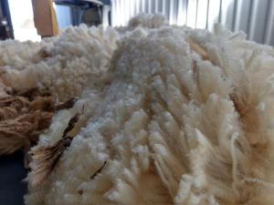 Cradle at Casa Blanca Country Retreat