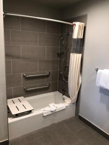 Alamo Inn and Suites - Convention Center