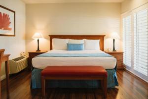 Alamo Inn and Suites - Convention Center