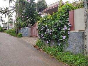 Ferndale Homestay