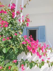 Yiannis Studios Paros Greece