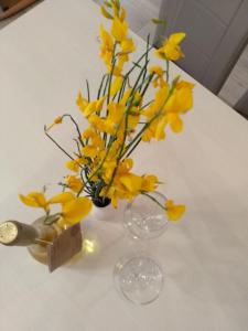 Apartmani Jovanovic