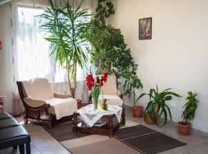 A Hotel Com Pensiunea Casa Cu Flori Guest House Cisnadioara