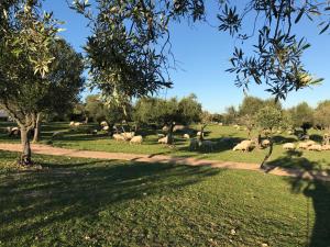 Agriturismo Is Conchisceddas img93