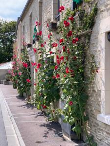 JunoGîte - Résidence