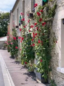 朱诺吉特 - 住宅公寓 - Reviers