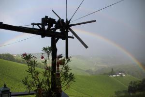 Samenkönig Pschait Handels GmbH