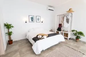 SECRET HILL - 雅莎尼奥