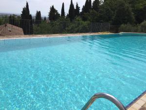 Lady Frantoio Toscano