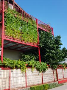 Ljubljana's terrace 