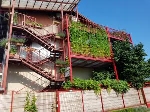 Ljubljana's terrace 