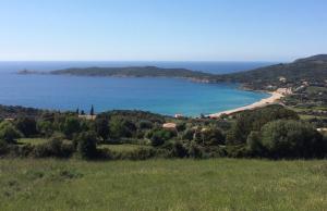 Villa Mignucci photo 9