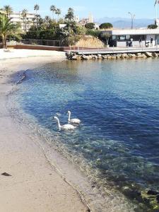 STUDIO STANDING BORD DE MER ET VUE
