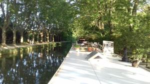 Bateaux-hotels studio sur peniche La Tortue : photos des chambres