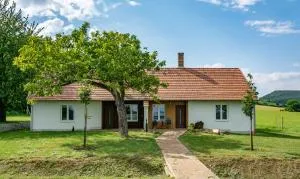 House of the Golden Horse in Hosszúréti Lovas Major - Pusztazámor