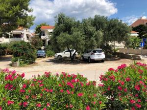 Adriatic House