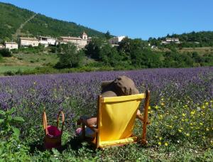 Maisons de vacances Le Jas de Verdolier : photos des chambres