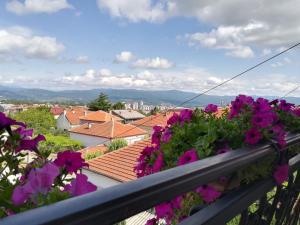 Penthouse Apartment room in Vila Sentić
