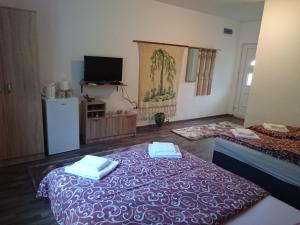 Studio and winery Kalimut