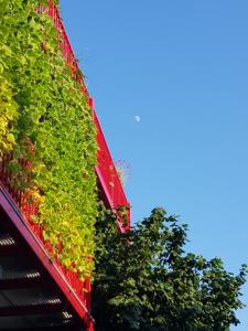 Ljubljana's terrace 